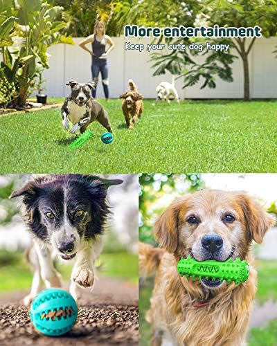 צעצועים לעיסת כלבים של Dooopen לעיסות אגרסיביות גזע בינוני קטן, צעצועים לכלבים קטנים, צעצועים חורקים