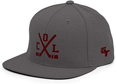 מקלות הוקי קולורדו רטרו קול כובע בייסבול כובע בייסבול