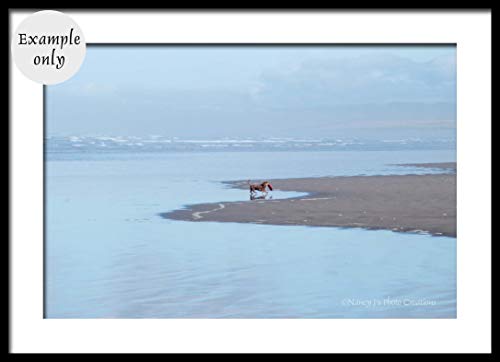 כלב גן עדן צילום חוף חוף לא ממוסגר אוקיינוס ​​הדפס DACHSHUND חובב כלבים מתנה אמנות קיר חוף כחול פסיפיק