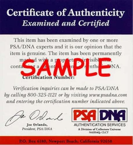 Vince Coleman PSA DNA חתום 8x10 קרדינלים של חתימת צילום - תמונות MLB עם חתימה