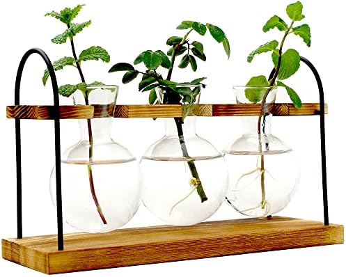 אההוטה צמח התפשטות תחנות חממה עם מעמד עץ - שולחן עבודה זכוכית הנורה צמח אגרטל מתכת מסתובב מחזיק-אוויר