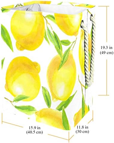 דייה עמיד למים סלי כביסה גבוה חסון מתקפל הדר פירות צהוב לימון הדפסת סל למבוגרים ילדים בני נוער בנות